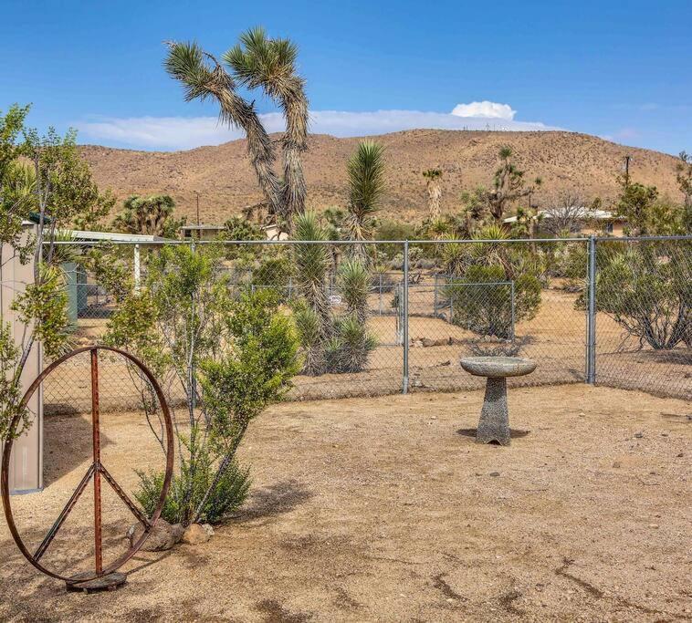 Jt Cottage Yucca Valley Exteriör bild